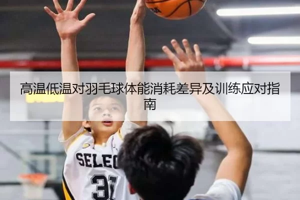 高温低温对羽毛球体能消耗差异及训练应对指南