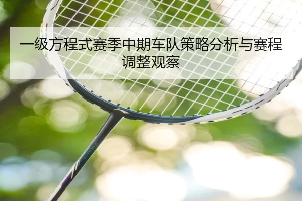 一级方程式赛季中期车队策略分析与赛程调整观察